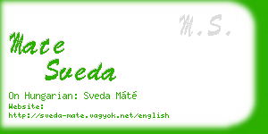 mate sveda business card
