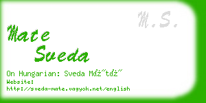 mate sveda business card